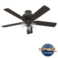 Hunter 51364 - Hunter 52 inch River Ridge Noble Bronze Damp Rated Ceiling Fan with LED Light Kit and Pull Chain